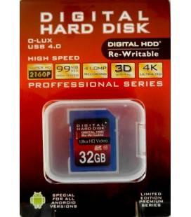 Scheda SD HDD 32GB (Classe 10)