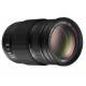 Panasonic Lumix 100-300Mm F/4.0-5.6 II Mega