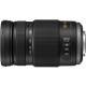 Panasonic Lumix 100-300Mm F/4.0-5.6 II Mega