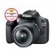 CANON EOS 2000D + 18-55 IS II 