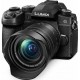 PANASONIC LUMIX DMC-G90HEC-K +12-60mm F3.5-F5,6