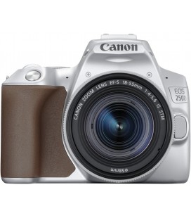 CANON EOS 250D + 18-55 IS STM SILVER