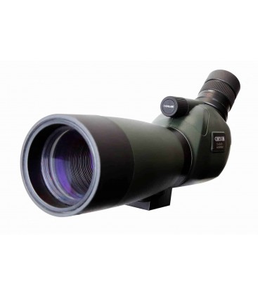 CARSON TELESCOPIO TERRESTRE EVERGLADE SS-560