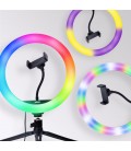 DORR KIT VLOGGING 26CM VL 26 RGB