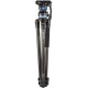 BENRO TRIPODE KIT DE VIDEO CARBONO C373FBS8PRO