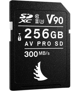 ANGELBIRD SCHEDA AV PRO SD MK2 256GB V90