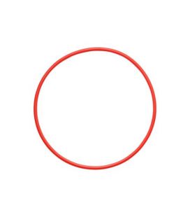 OLYMPUS O-Ring POL-058 FÜR GEHÄUSE PT-058 / PT-059