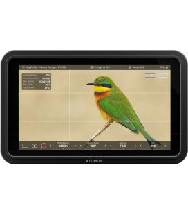 ATOMOS MONITOR SHINOBI II