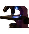 LEVENHUK RAINBOW 2L PLUS AMETHYST MICROSCOPE